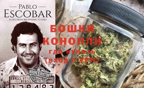 прущие грибы Богородск