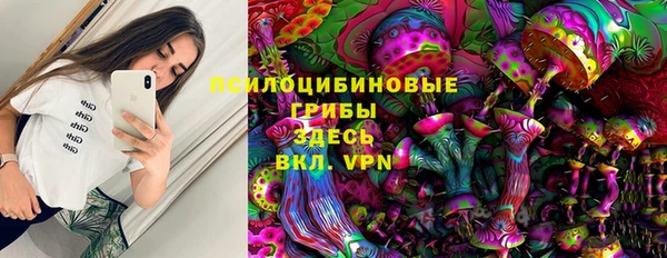 mdpv Богородицк