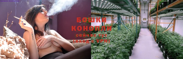 mdpv Богородицк