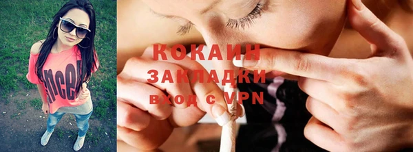 прущие грибы Богородск